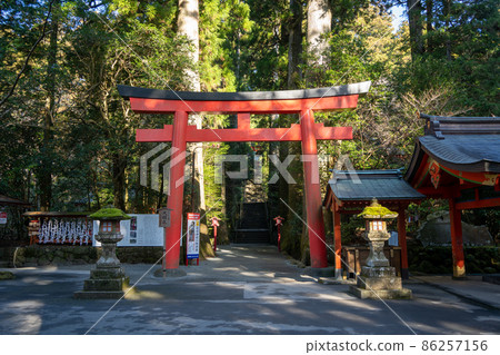 [神奈川]箱根神社 86257156
