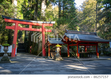 [Kanagawa] Hakone Shrine 86257157