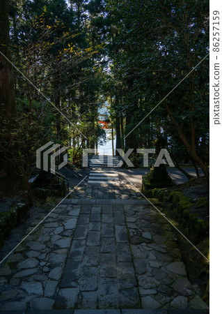[Kanagawa] Hakone Shrine 86257159