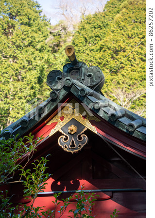 [Kanagawa] Hakone Shrine 86257202