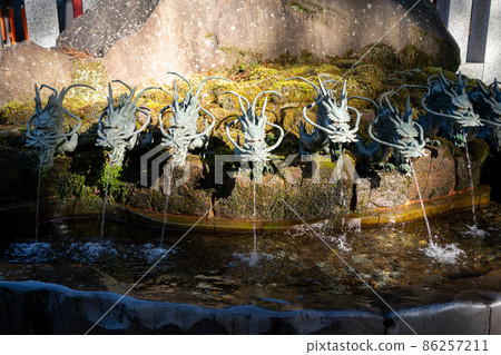 [神奈川]箱根神社 86257211