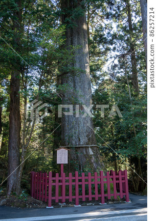 [神奈川]箱根神社 86257214