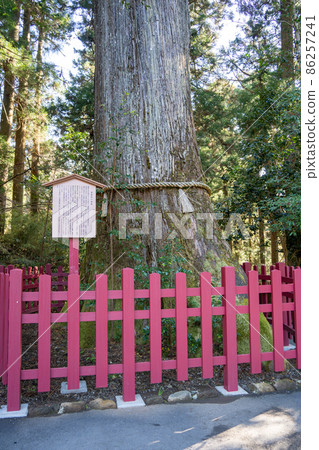 [Kanagawa] Hakone Shrine 86257241