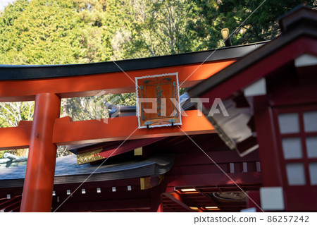 [Kanagawa] Hakone Shrine 86257242