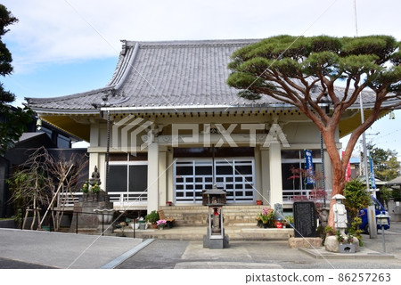 茅崎市幸德寺本館和松樹 茅崎市幸德寺本館和松樹 86257263