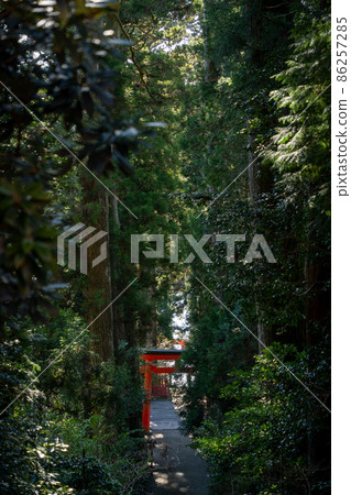 [Kanagawa] Hakone Shrine 86257285