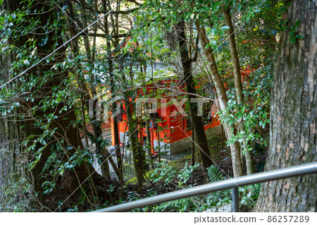 [Kanagawa] Hakone Shrine 86257289