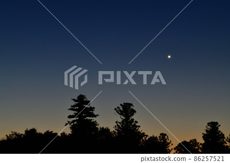 白州町,北斗市,黎明的天空,在樹梢上閃耀的維納斯 白州町,北斗市,黎明的天空,在樹梢上閃耀的維納斯 86257521