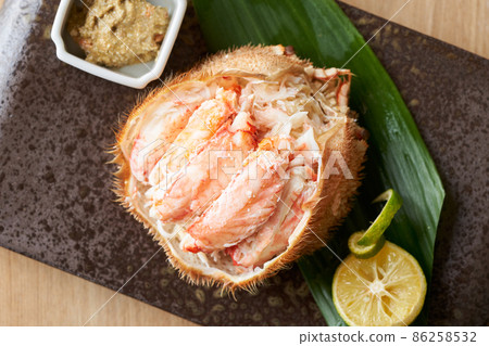 大閘蟹殼 大閘蟹殼 86258532