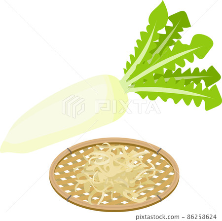 Illustration of dried daikon radish and radish with leaves Illustration of dried daikon radish and radish with leaves 86258624
