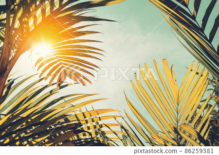 Copy space of silhouette tropical palm tree with sun light on sunset sky and cloud abstract background. Copy space of silhouette tropical palm tree with sun light on sunset sky and cloud abstract background. 86259381