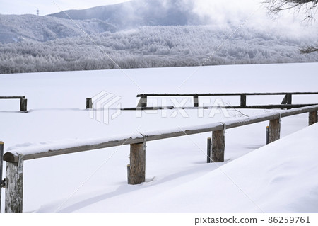 Snow scene of Tateshina plateau in winter 86259761