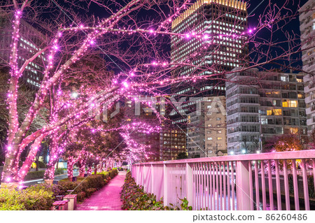 《東京》目黑川冬櫻燈飾塔大廈夜景 《東京》目黑川冬櫻燈飾塔大廈夜景 86260486