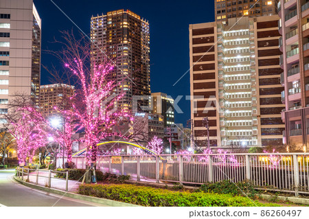 《東京》目黑川冬櫻燈飾塔大廈夜景 86260497