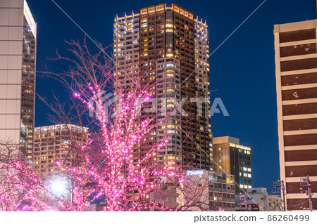 《東京》目黑川冬櫻燈飾塔大廈夜景 《東京》目黑川冬櫻燈飾塔大廈夜景 86260499