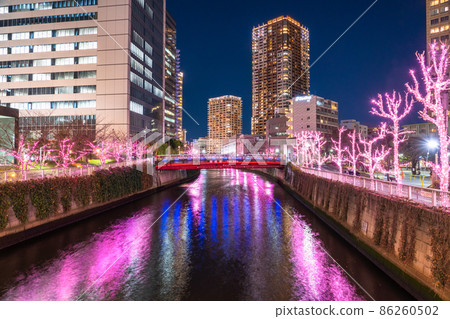 《Tokyo》 Meguro River Winter Sakura Illuminations Tower Mansion Night View 86260502