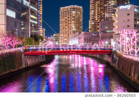 《Tokyo》 Meguro River Winter Sakura Illuminations Tower Mansion Night View 《Tokyo》 Meguro River Winter Sakura Illuminations Tower Mansion Night View 86260503