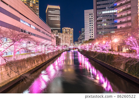 《東京》目黑川冬櫻燈飾塔大廈夜景 《東京》目黑川冬櫻燈飾塔大廈夜景 86260522