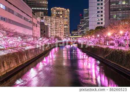 《東京》目黑川冬櫻燈飾塔大廈夜景 86260523