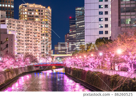 《東京》目黑川冬櫻燈飾塔大廈夜景 《東京》目黑川冬櫻燈飾塔大廈夜景 86260525