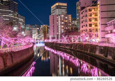 《東京》目黑川冬櫻燈飾塔大廈夜景 《東京》目黑川冬櫻燈飾塔大廈夜景 86260526
