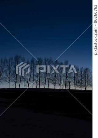 Evening sky and birch trees Evening sky and birch trees 86260762