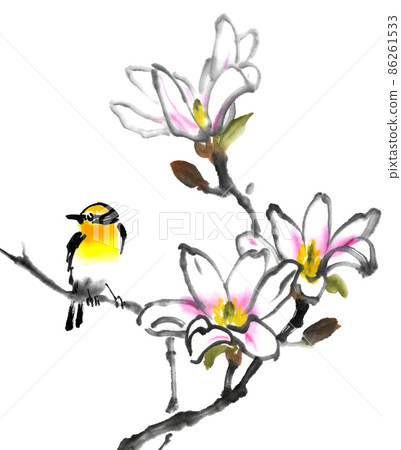 水仙捕蠅器在用水墨畫技術繪製的木蘭科布斯上 86261533