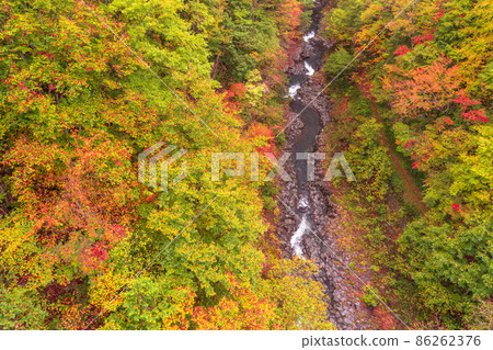 《福島縣》中津川溪谷的紅葉 《福島縣》中津川溪谷的紅葉 86262376