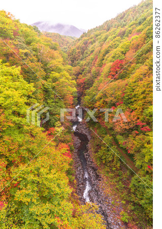 《Fukushima Prefecture》 Autumn leaves in Nakatsugawa Valley 86262377