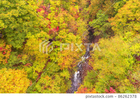 《Fukushima Prefecture》 Autumn leaves in Nakatsugawa Valley 86262378