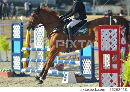 Show jumping horses and athletes Show jumping horses and athletes 86262458