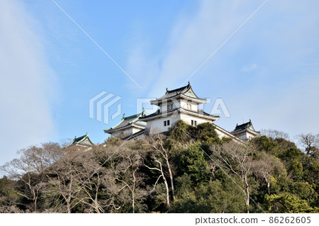 和歌山城[和歌山縣和歌山市] 86262605