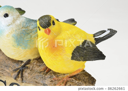 鳥的對象 鳥的對象 86262661