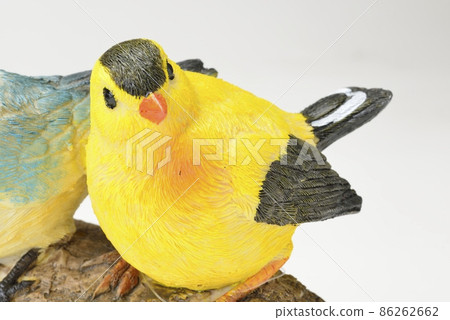 鳥的對象 鳥的對象 86262662