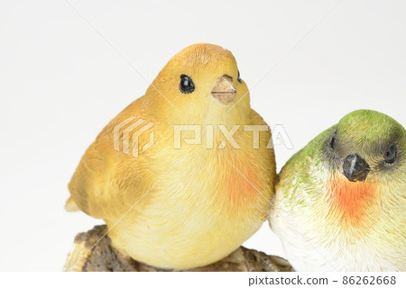 鳥的對象 鳥的對象 86262668