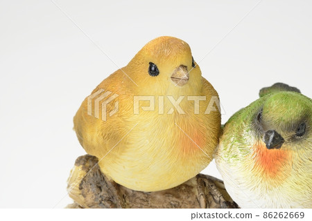 鳥的對象 鳥的對象 86262669