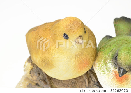鳥的對象 鳥的對象 86262670