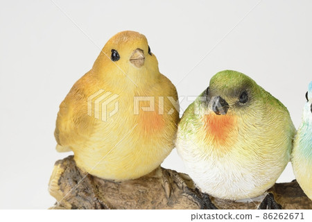 鳥的對象 鳥的對象 86262671
