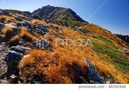 Autumn leaves on the ridge and the summit of Mt. Kitadake in the Southern Alps Autumn leaves on the ridge and the summit of Mt. Kitadake in the Southern Alps 86262686