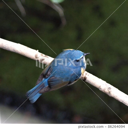 Ruribitaki 2 Ruribitaki 2 86264094