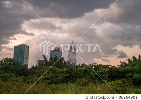 Picture of skyscrapers at sunset in the park with green grass and trees. View in metropolis with modern buildings. High quality photo 86264901