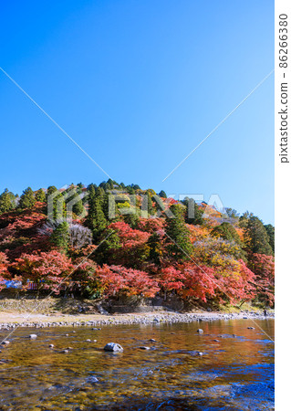 Korankei Gorge, a famous spot for autumn leaves, Toyota City, Aichi Prefecture Korankei Gorge, a famous spot for autumn leaves, Toyota City, Aichi Prefecture 86266380