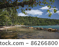 Beach 86266800