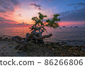 Colourful sunset 86266806