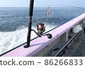 Offshore Casting Boat Fishing Tackle Twin Power Pencil Bait 86266833