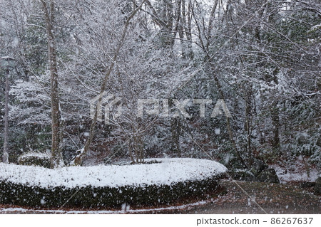 下雪天公園的風景 下雪天公園的風景 86267637