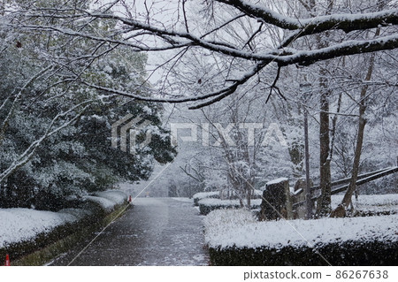 下雪天公園的風景 86267638