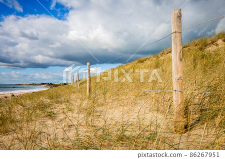Sand dune and fence on a beach, Re Island, France Sand dune and fence on a beach, Re Island, France 86267951