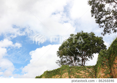 Stone wall with ivy and blue sky Stone wall with ivy and blue sky 86268846
