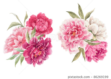 Beautiful floral set with watercolor hand drawn peony flower bouquets. Stock illustration. 86269199